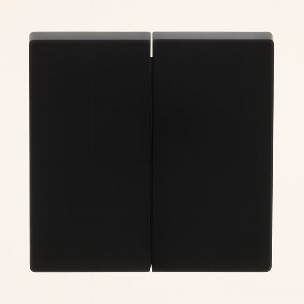 1785-885 Wippe für Schalter/Taster, 2-fach schwarz matt - Plattform 63