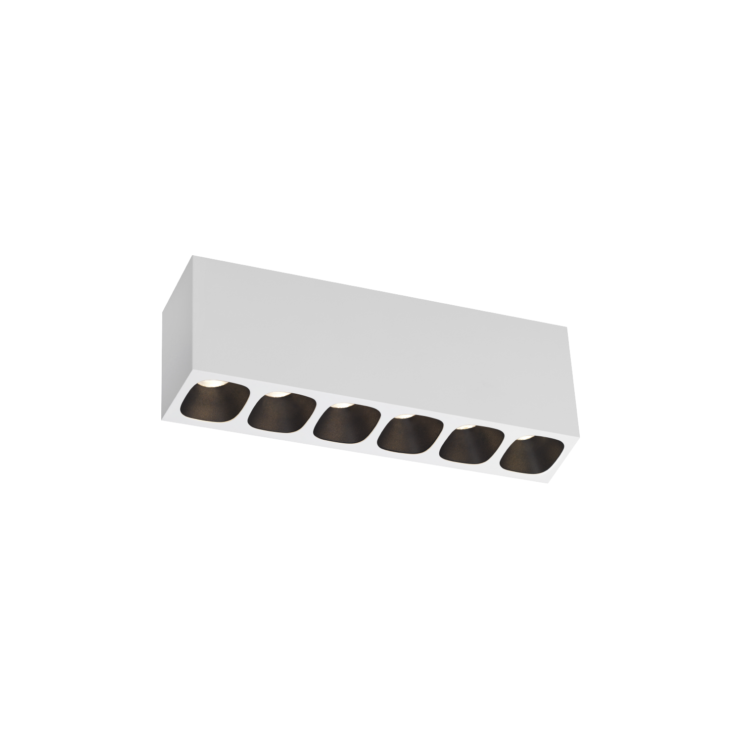 PIRRO small SURFACE 6.0