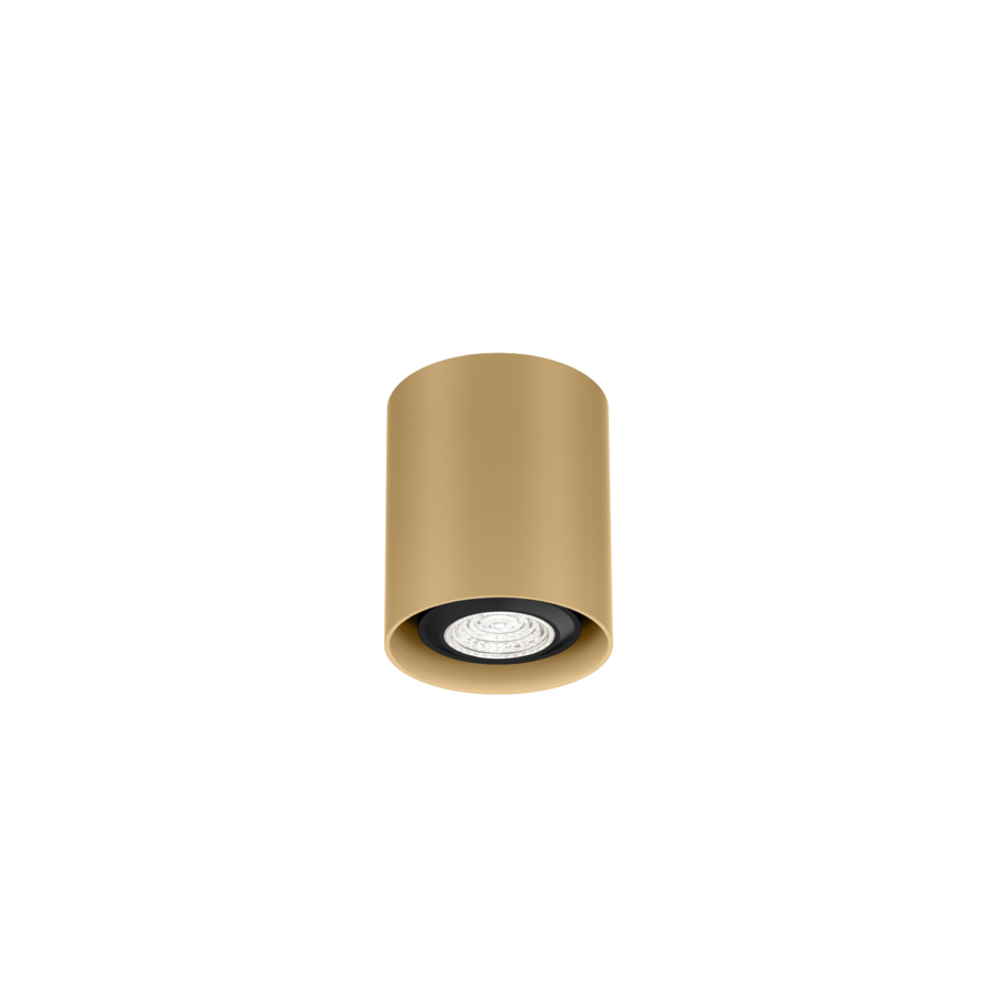 RAY mini 1.0 Deckenlampe