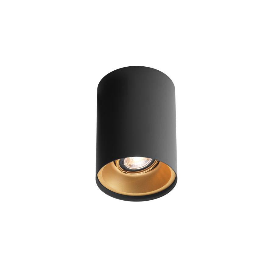 SOLID 1.0 PAR16 Ceiling Light