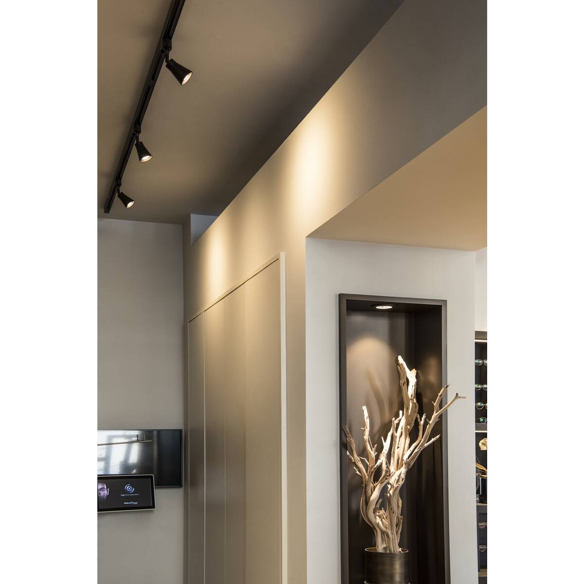 AVO TRACK - SLV - 152640