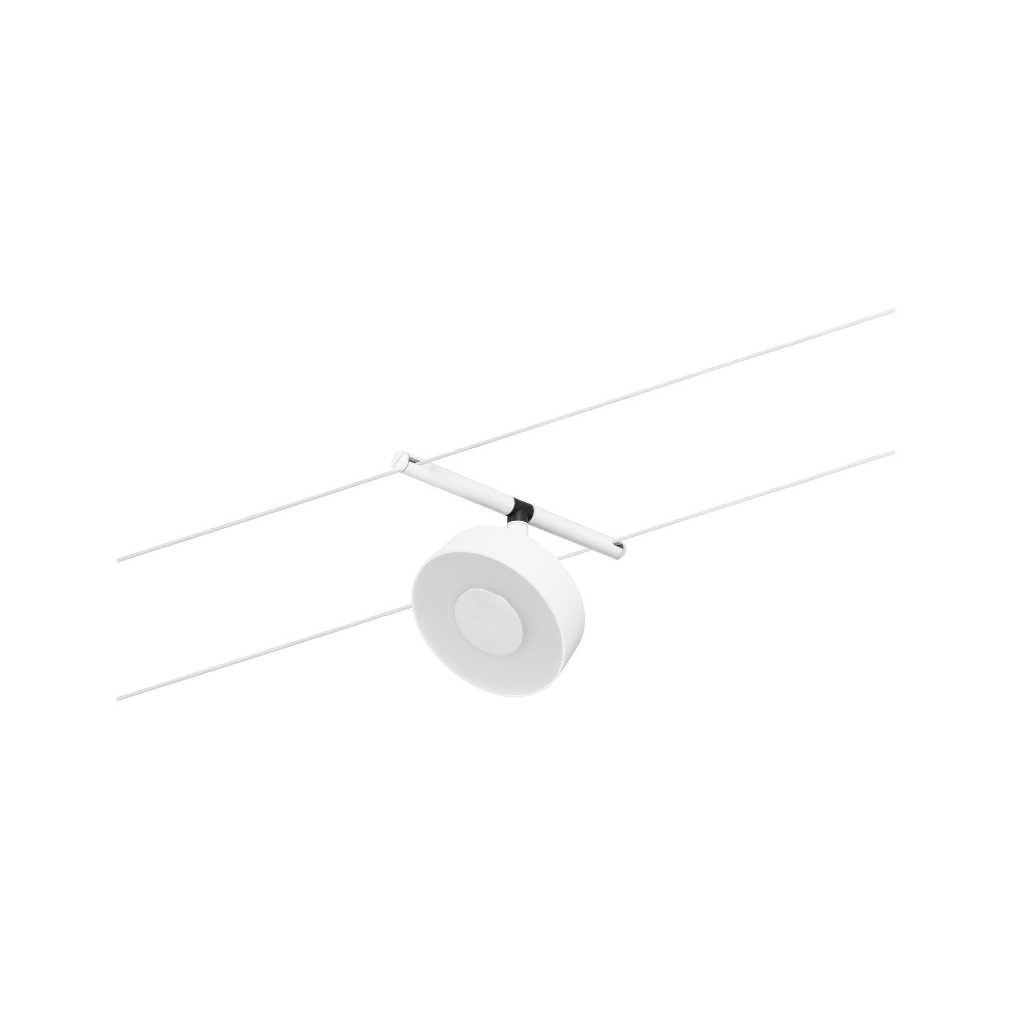 CorDuo Circle Einzelspot 180lm 5W 3000K 12V Weiß matt - Paulmann - 94478