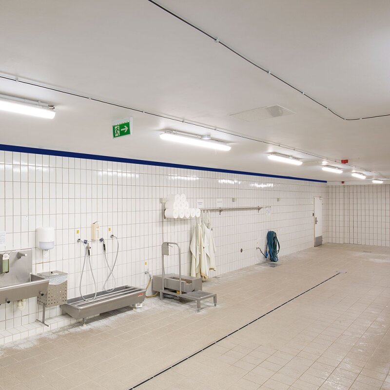 DOTLUX LED - EX - Schutzleuchte MISTRALex EX Geschützt IP66 1572mm 27W 4000K IK10 Zone 2 & 22 - Dotlux - 4555 - 140140