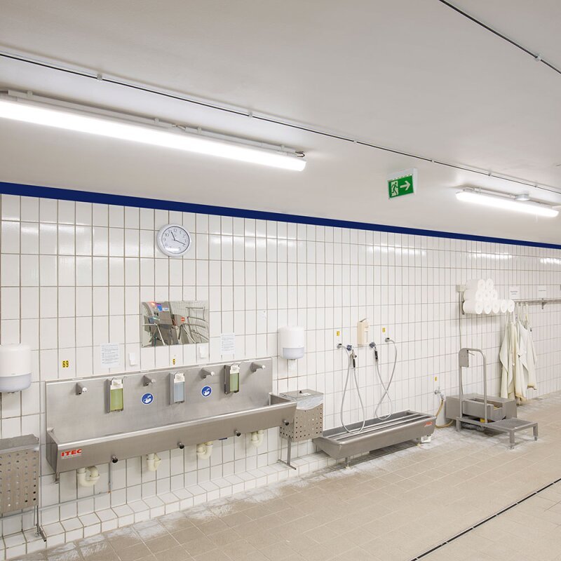DOTLUX LED - EX - Schutzleuchte MISTRALex EX Geschützt IP66 1572mm 27W 4000K IK10 Zone 2 & 22 - Dotlux - 4555 - 140140