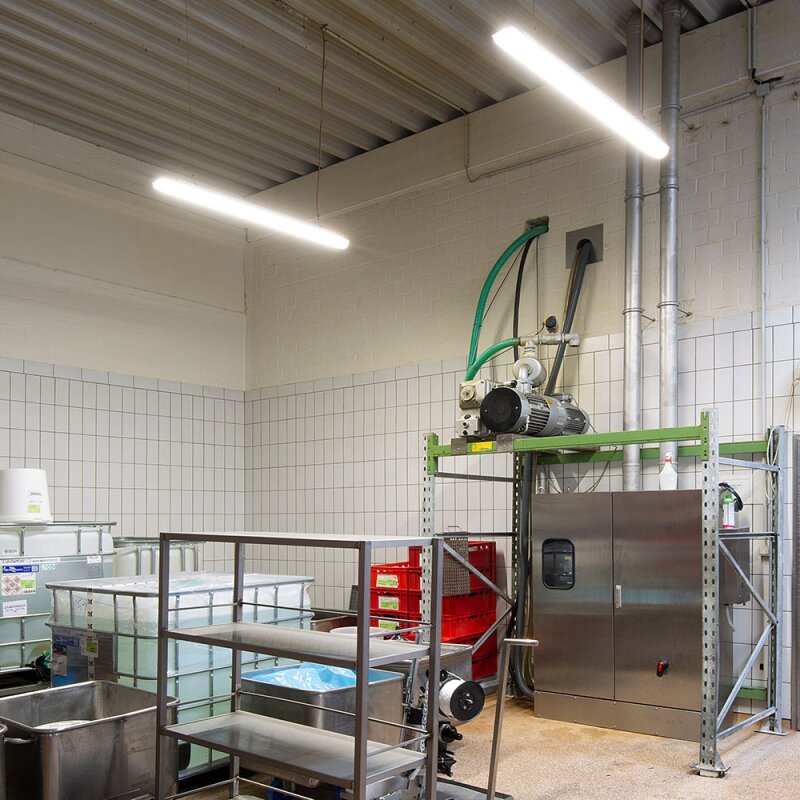 DOTLUX LED - EX - Schutzleuchte MISTRALex EX Geschützt IP66 1572mm 27W 4000K IK10 Zone 2 & 22 - Dotlux - 4555 - 140140