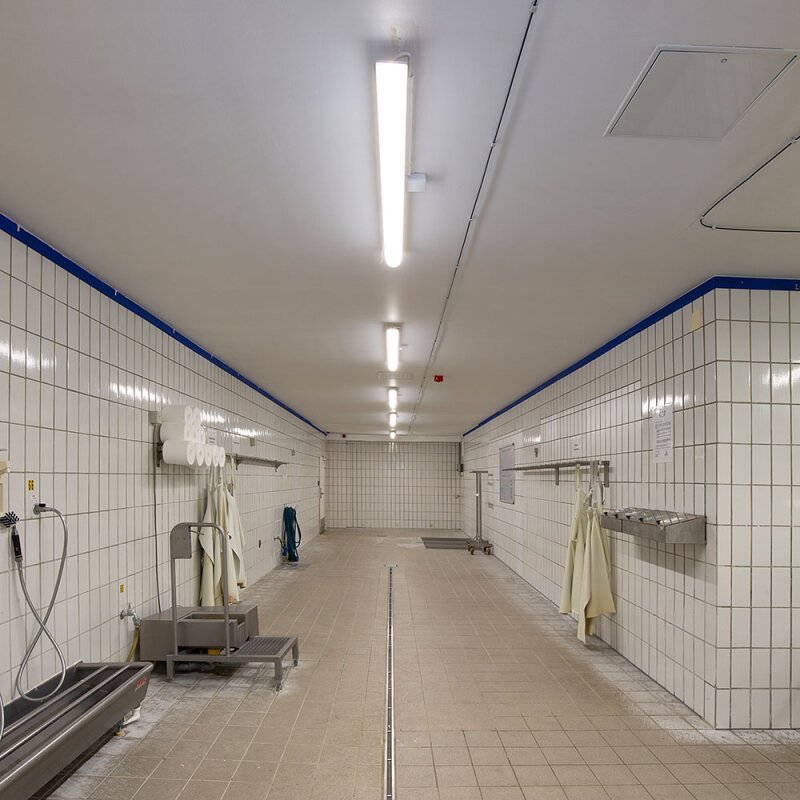 DOTLUX LED - EX - Schutzleuchte MISTRALex EX Geschützt IP66 1572mm 27W 4000K IK10 Zone 2 & 22 - Dotlux - 4555 - 140140