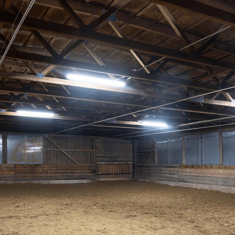 DOTLUX LED - Feuchtraumleuchte MISTRAL IP66 640mm max37W 4000K gefrostet - Dotlux - 2354 - 440120
