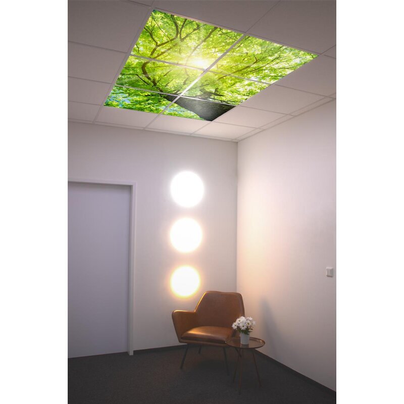 DOTLUX Motivplatte SKYLIGHT für Einbaupanels Motiv 1 Raster 1x1 für 620x620 - Dotlux - M01 - 01010620