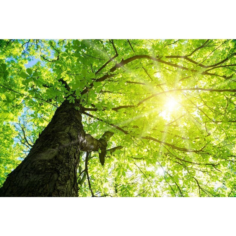 DOTLUX Motivplatte SKYLIGHT für Einbaupanels Motiv 1 Raster 1x1 für 620x620 - Dotlux - M01 - 01010620