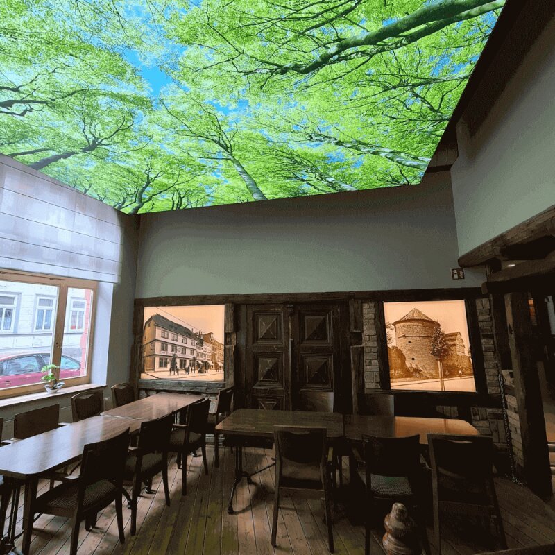 DOTLUX Motivplatte SKYLIGHT für Einbaupanels Motiv 1 Raster 1x1 für 620x620 - Dotlux - M01 - 01010620