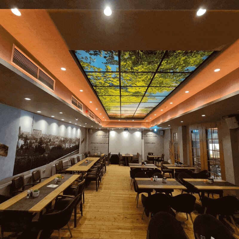 DOTLUX Motivplatte SKYLIGHT für Einbaupanels Motiv 1 Raster 1x1 für 620x620 - Dotlux - M01 - 01010620