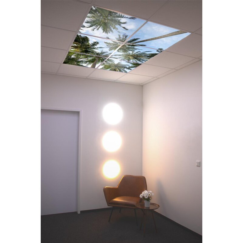 DOTLUX Motivplatte SKYLIGHT für Einbaupanels Motiv 4 Raster 1x1 für 620x620 - Dotlux - M04 - 01010620