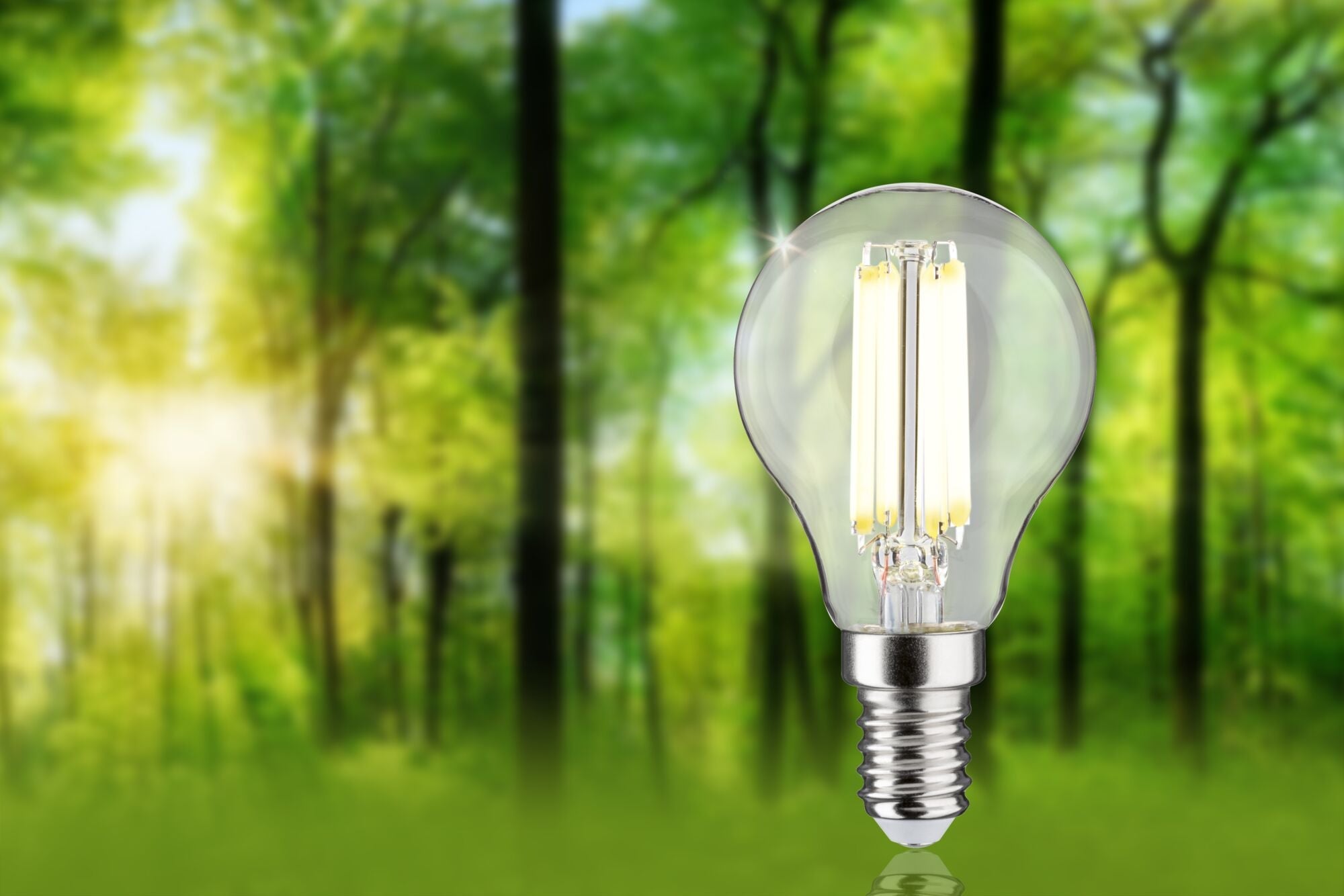 Eco - Line LED Tropfen 1er - Set 82mm 525lm 2,5W 4000K Klar - Paulmann - 29198