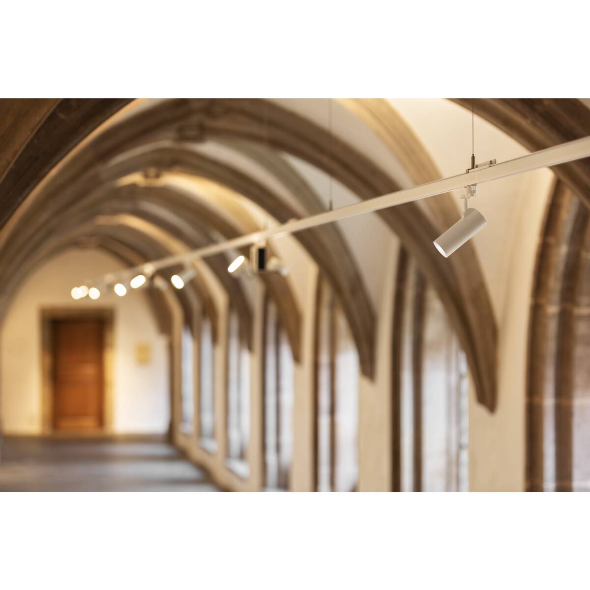 HELIA 50 TRACK - SLV - 152961