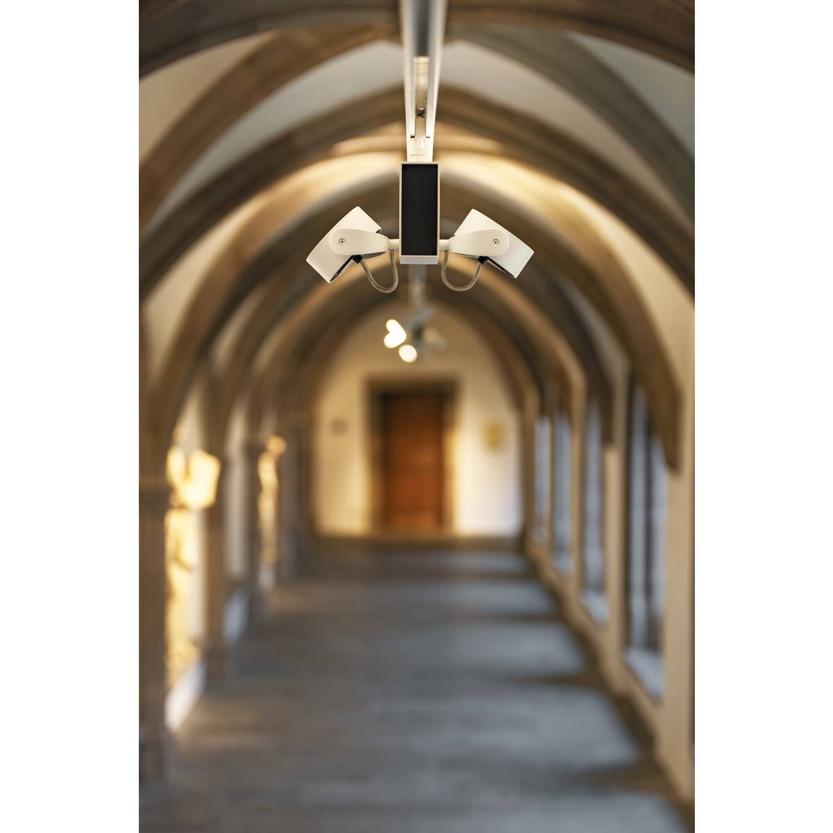 HELIA 50 TRACK - SLV - 152961