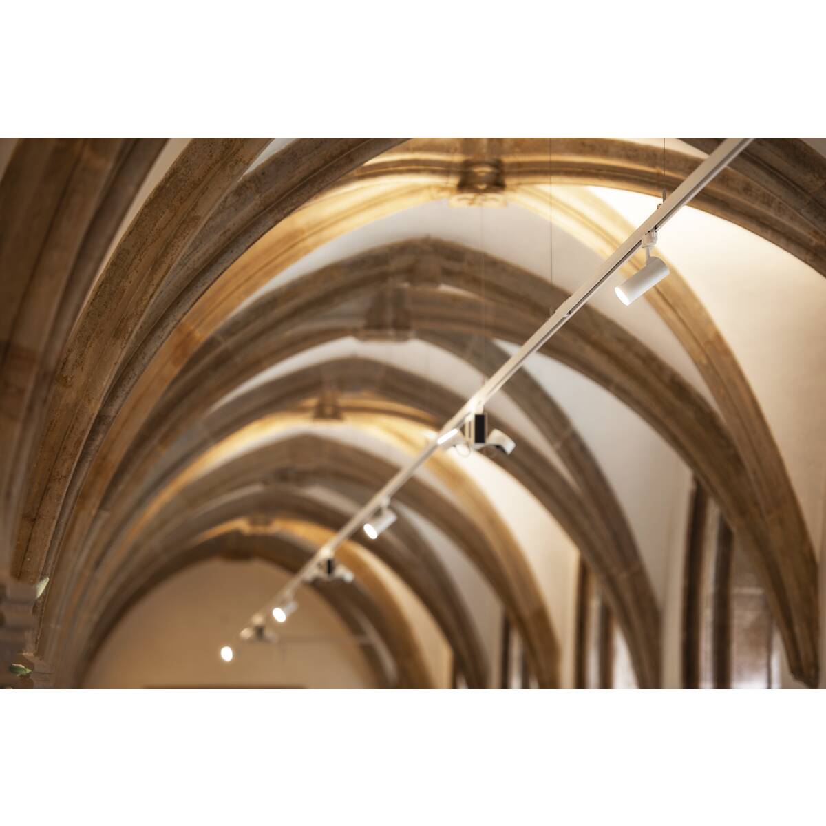 HELIA 50 TRACK - SLV - 152961