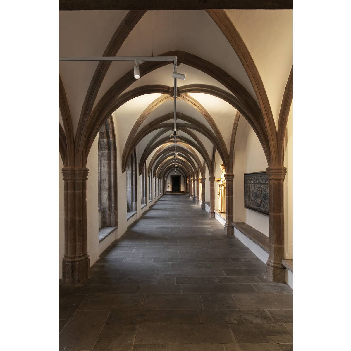 HELIA 50 TRACK - SLV - 152961