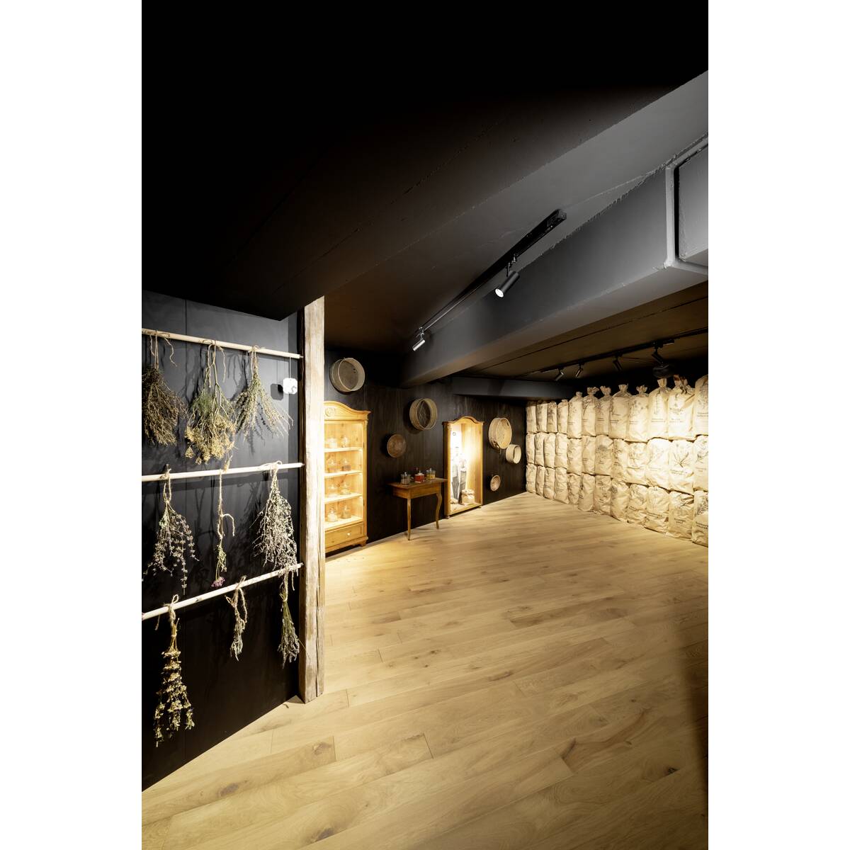 HELIA 50 TRACK - SLV - 152961