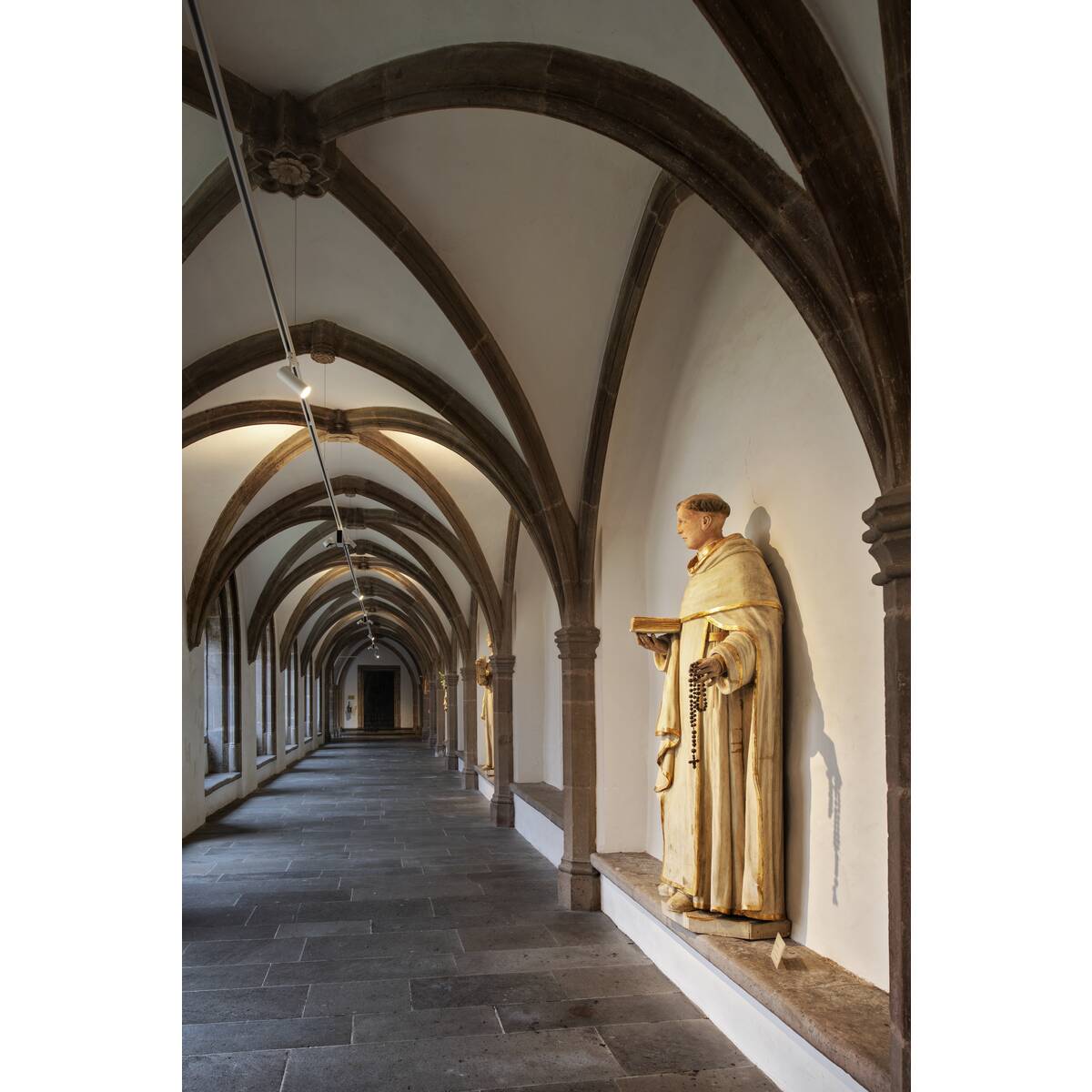 HELIA 50 TRACK - SLV - 152961