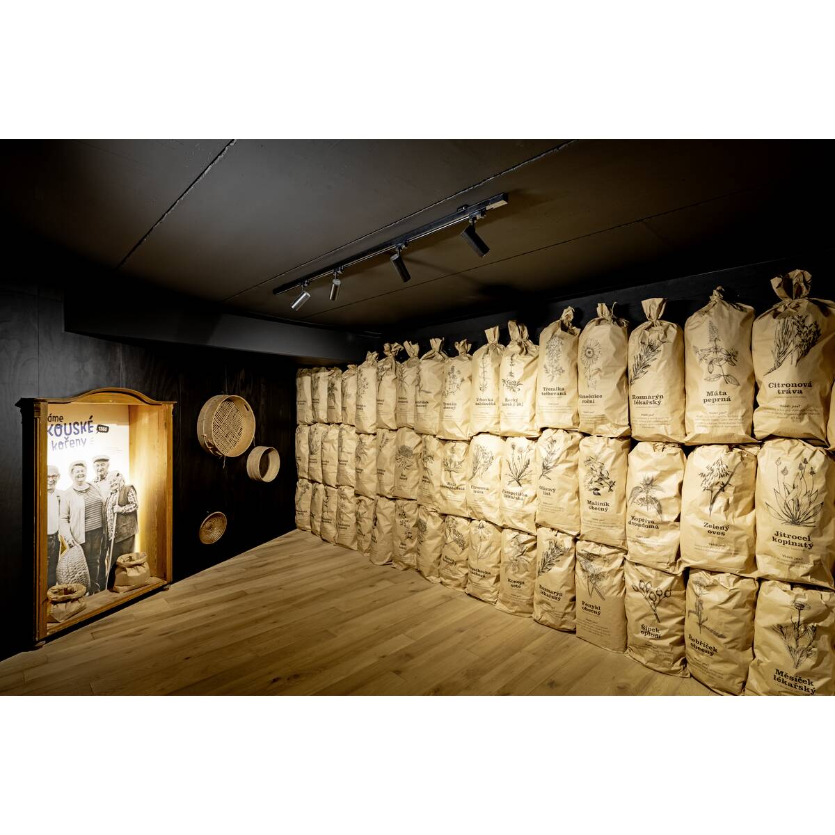 HELIA 50 TRACK - SLV - 152961