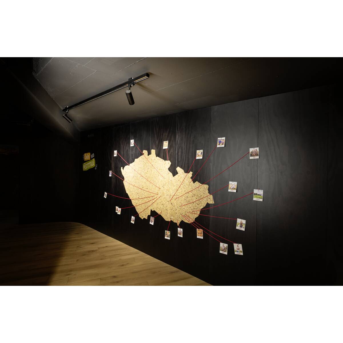 HELIA 50 TRACK - SLV - 152961