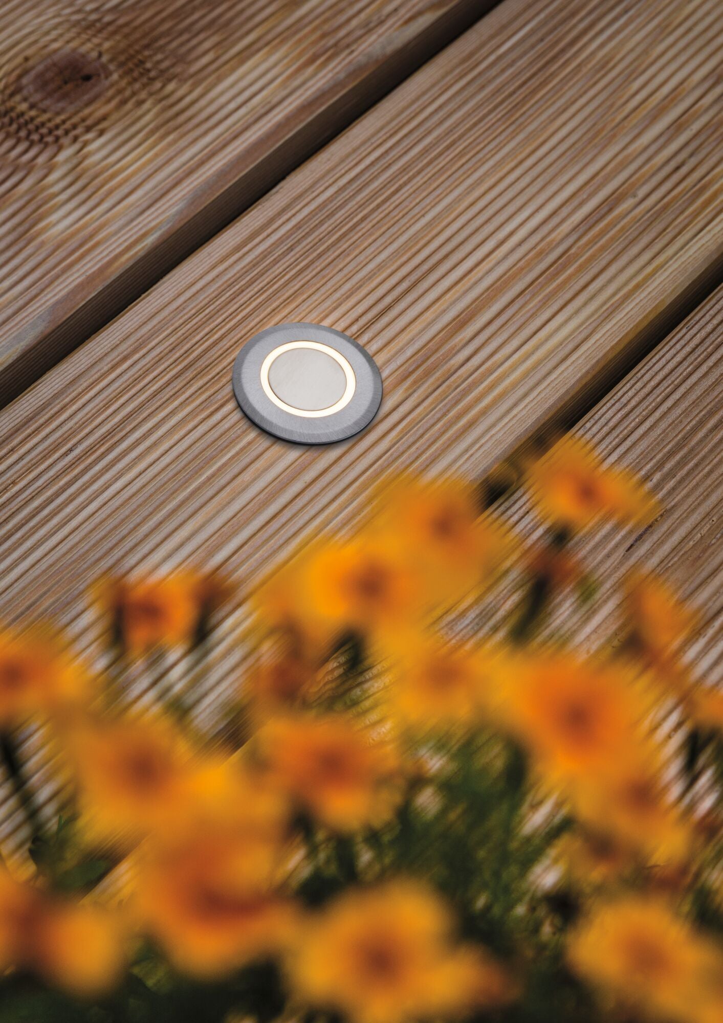 House Warmweiß IP67 rund 50mm 3000K 2W 20lm 230V Edelstahl gebürstet Edelstahl/Kunststoff - Paulmann - 94363