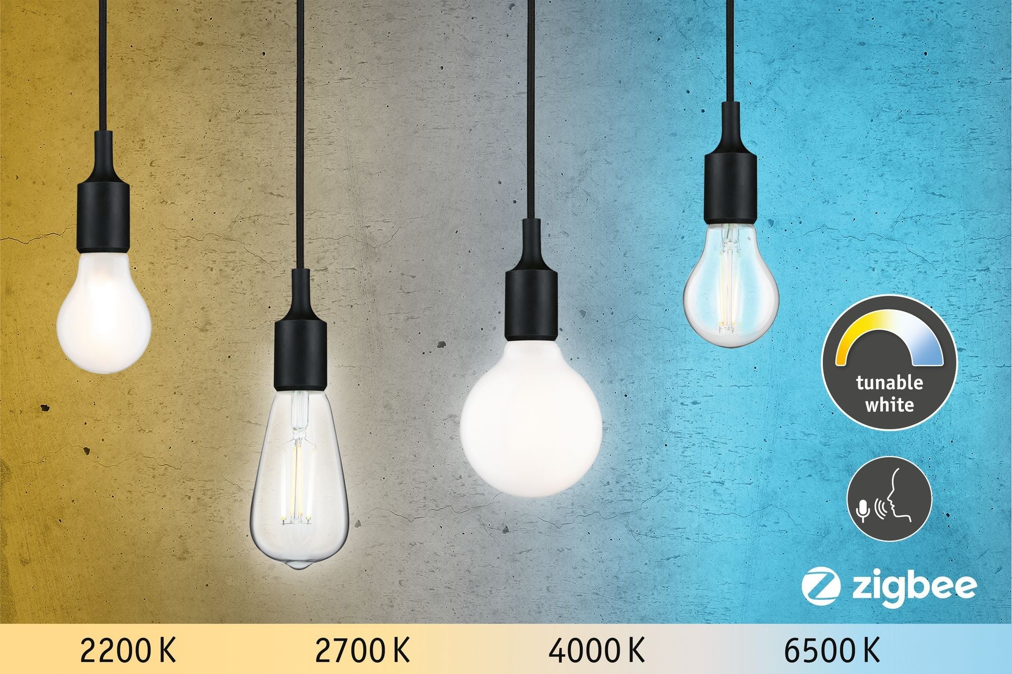LED Birne LED Globe E27 806lm 7W Tunable White dimmbar Opal - Paulmann - 50396