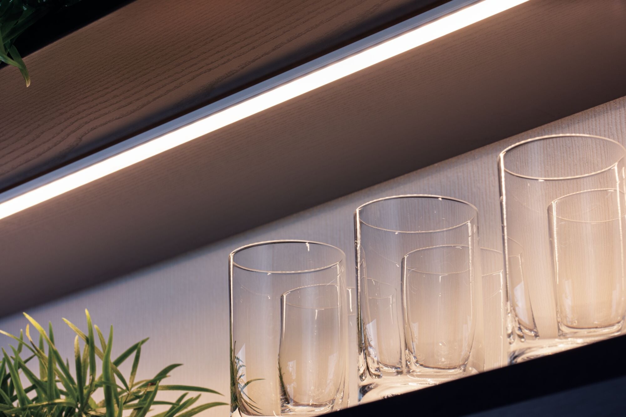 LED Strip Profil Base Weißer Diffusor 1m Alu eloxiert/Satin - Paulmann - 70517