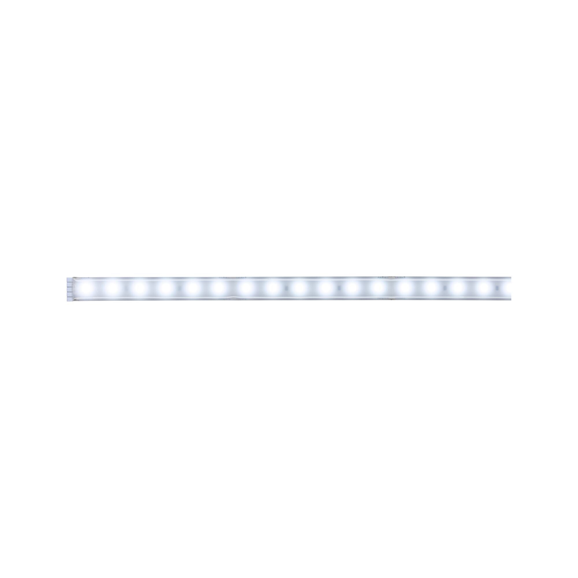 MaxLED 500 Tageslichtweiß Einzelstripe 1m beschichtet IP44 6W 440lm/m 6500K - Paulmann - 70664
