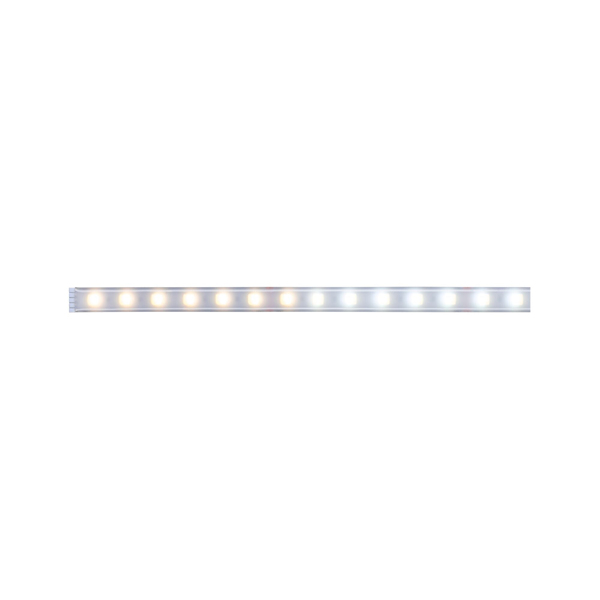 MaxLED 500 Tunable White Einzelstripe 1m beschichtet IP44 7W 470lm/m Tunable White - Paulmann - 70630