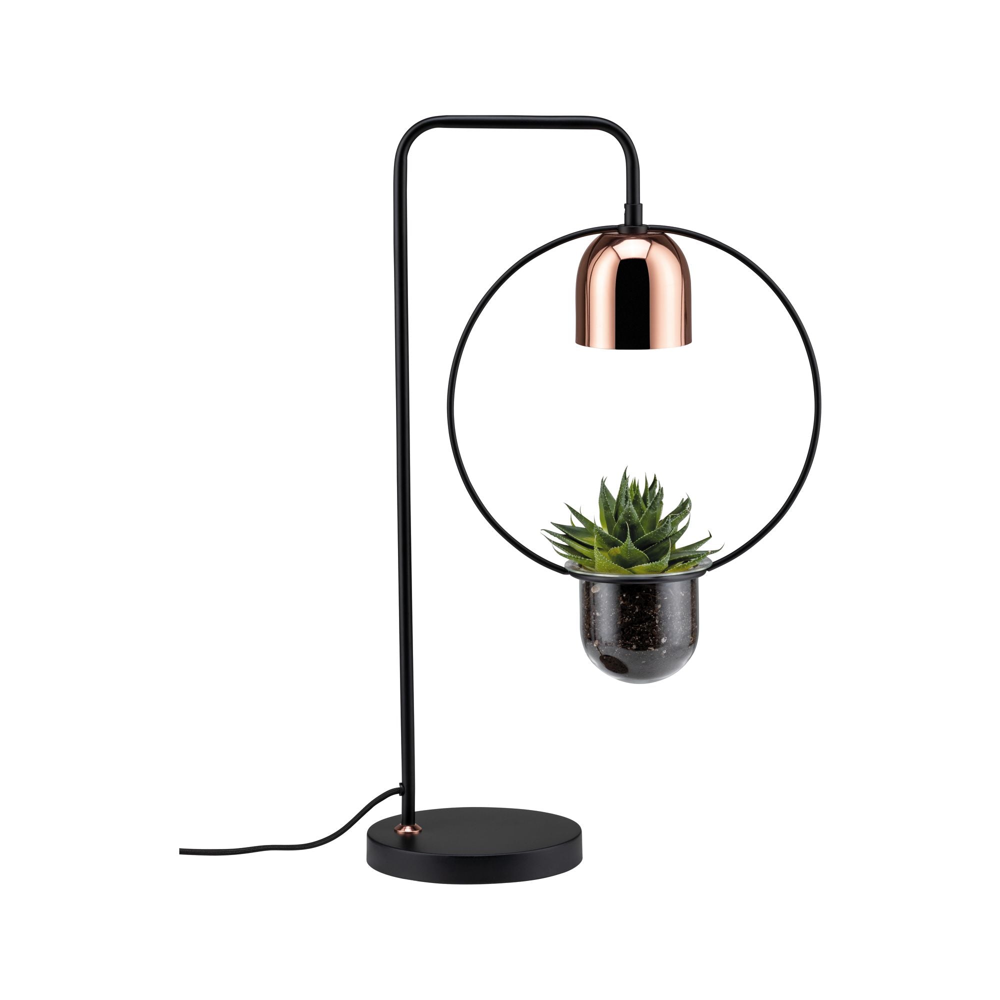 Neordic Fanja GU10 max. 20W Schwarz/Kupfer Metall - Paulmann - 79746