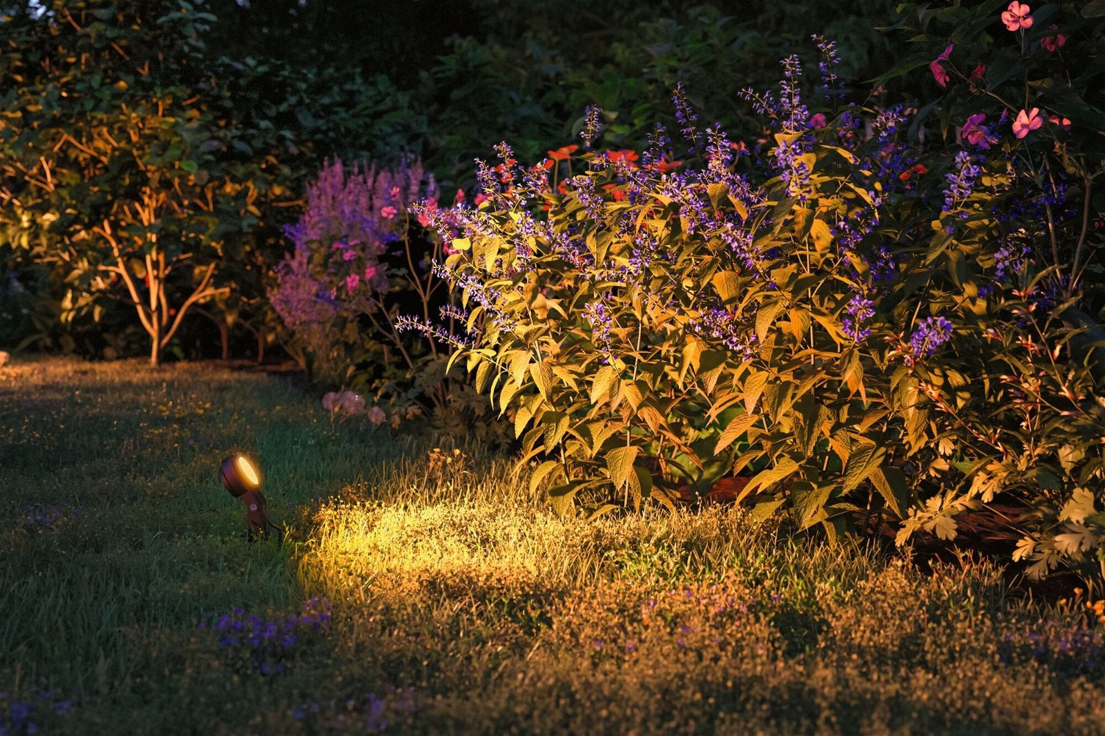 Plug & Shine LED Gartenstrahler Sting Einzelspot insektenfreundlich
