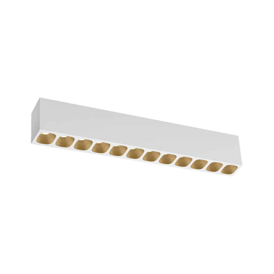 PIRRO petit SURFACE 12.0