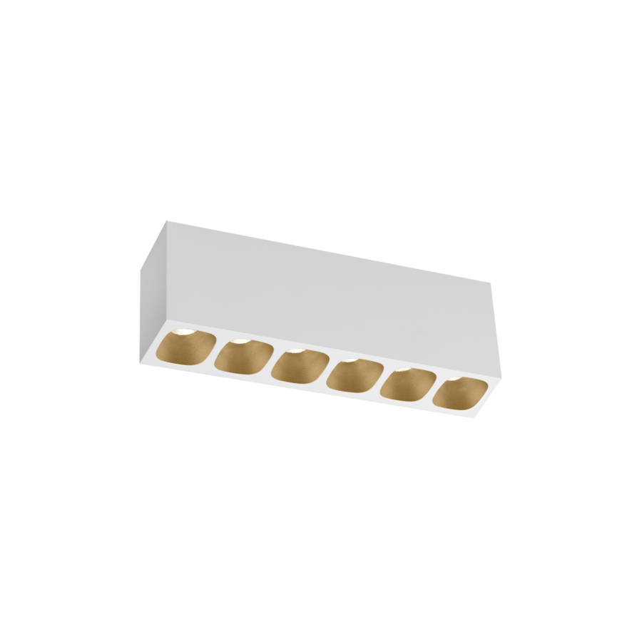 PIRRO petit SURFACE 6.0