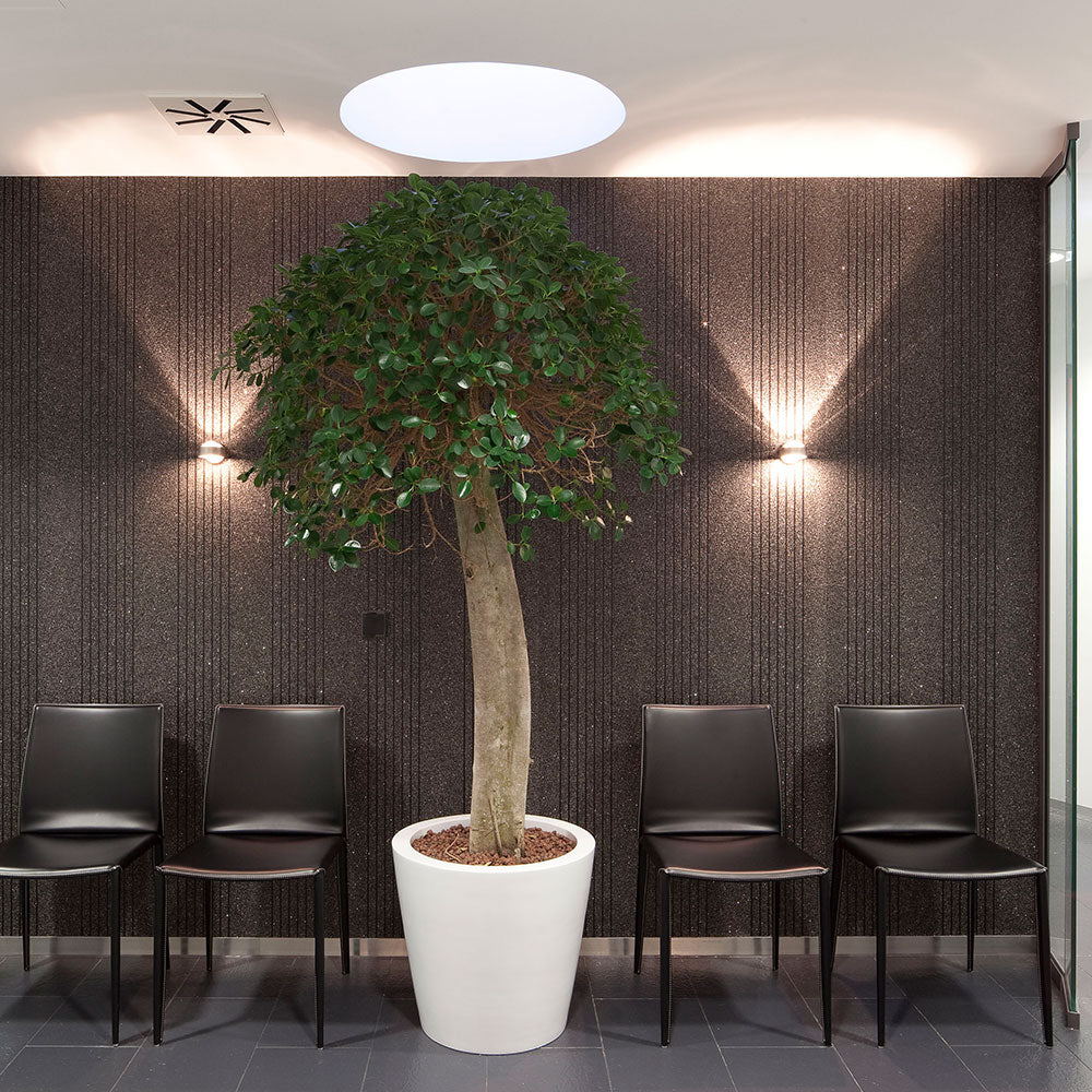 Puk Wall LED Wandlampe
