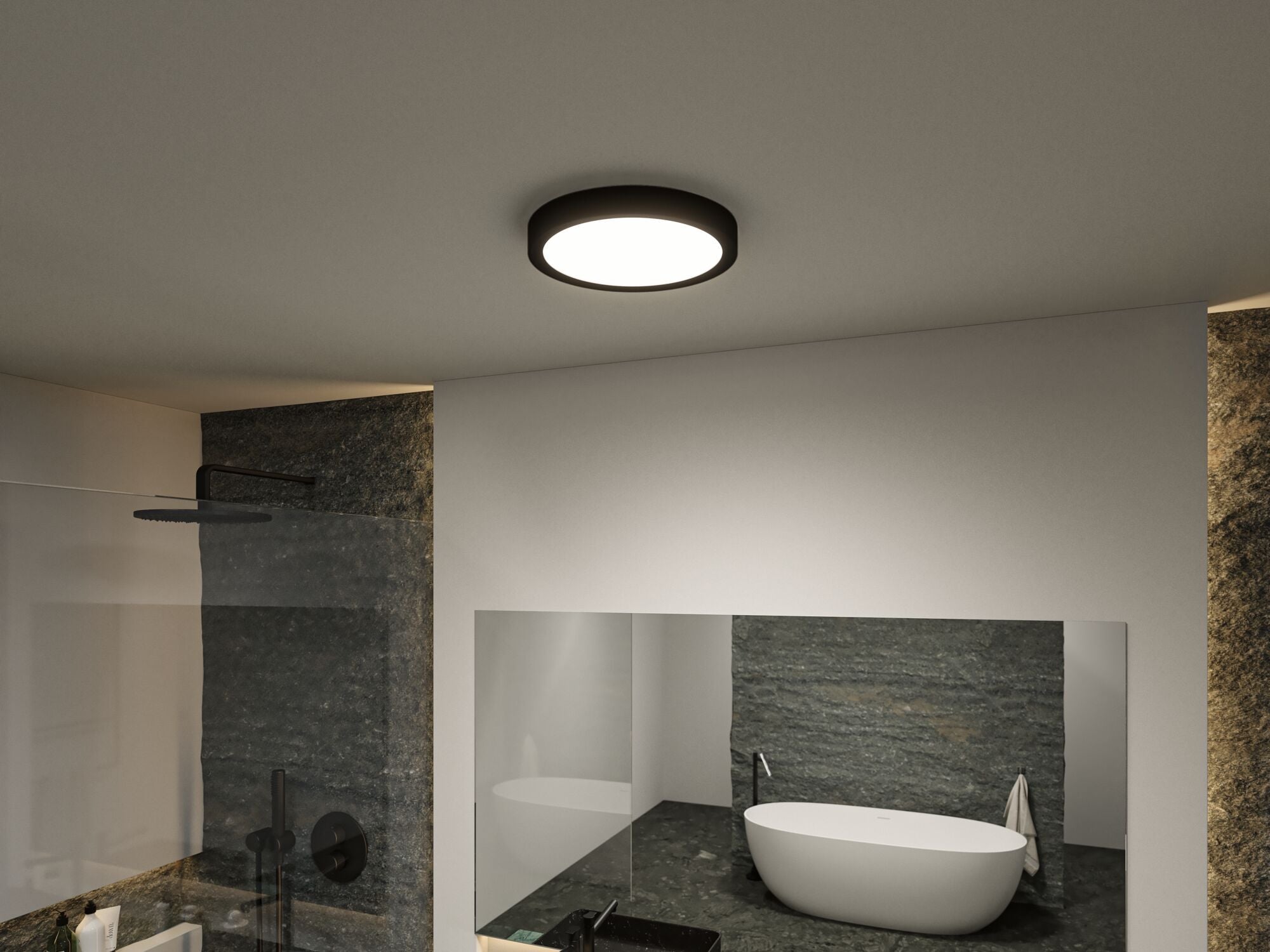Selection Bathroom Tega IP44 White Switch 1200lm 230V 22,5W Schwarz matt - Paulmann - 71086