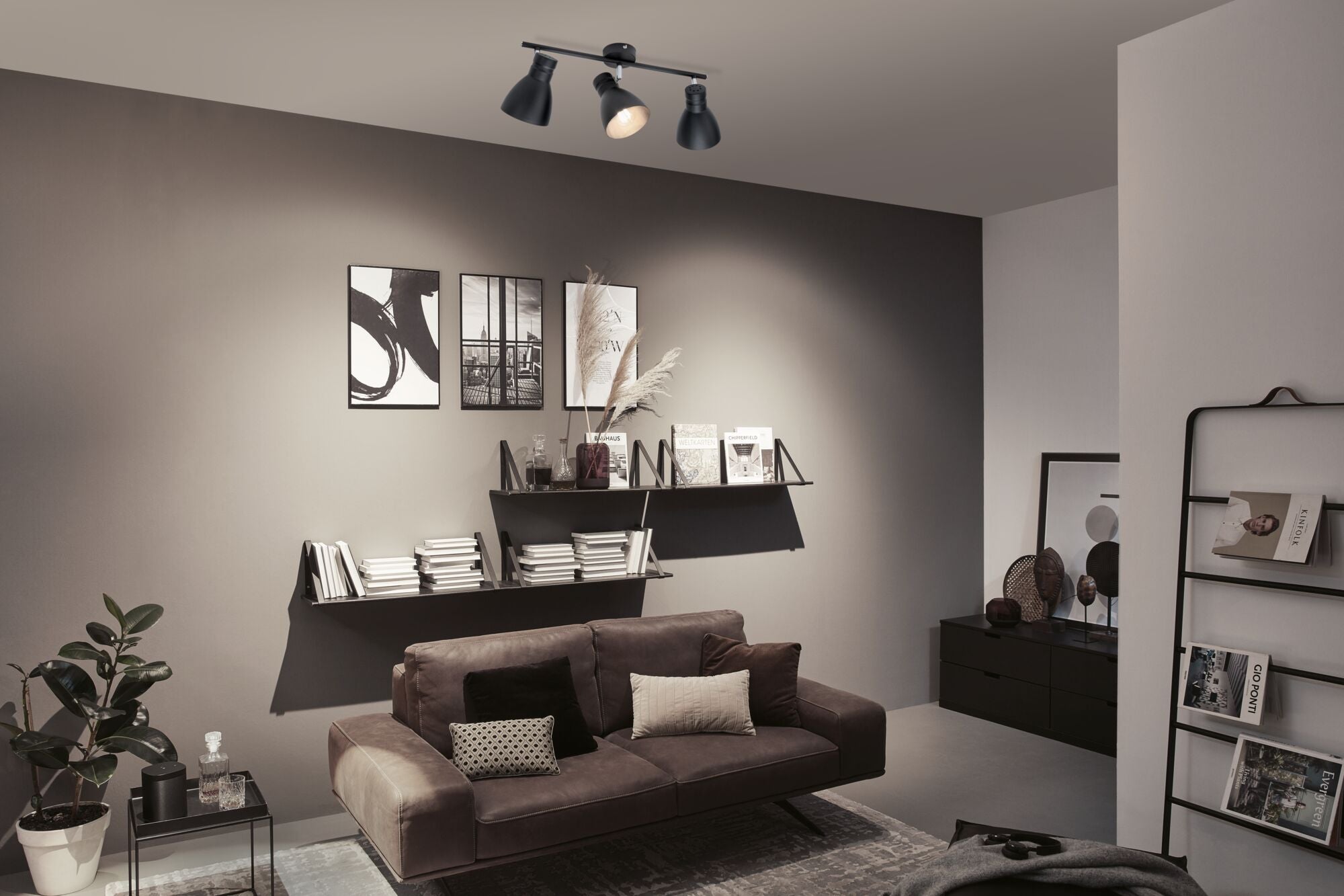 Spotlight Davy E27 230V max. 3x20W dimmbar Schwarz - Paulmann - 66761