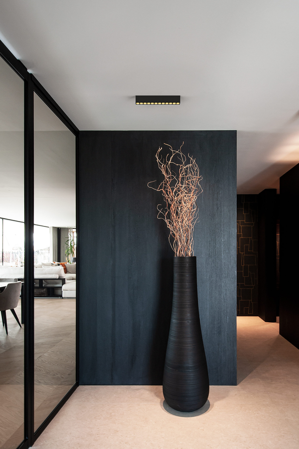 PIRRO petit SURFACE 12.0