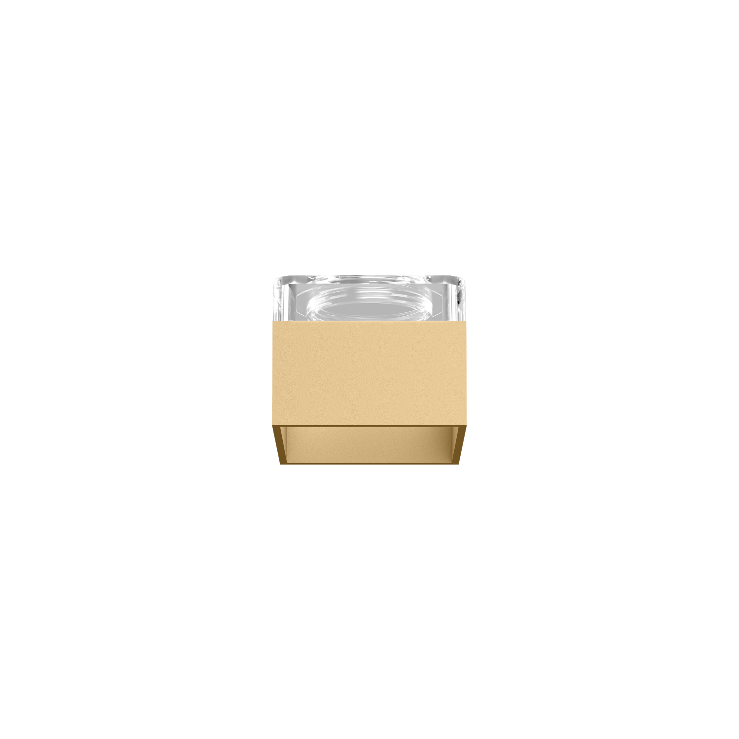 Box Inner Cover Champagner
