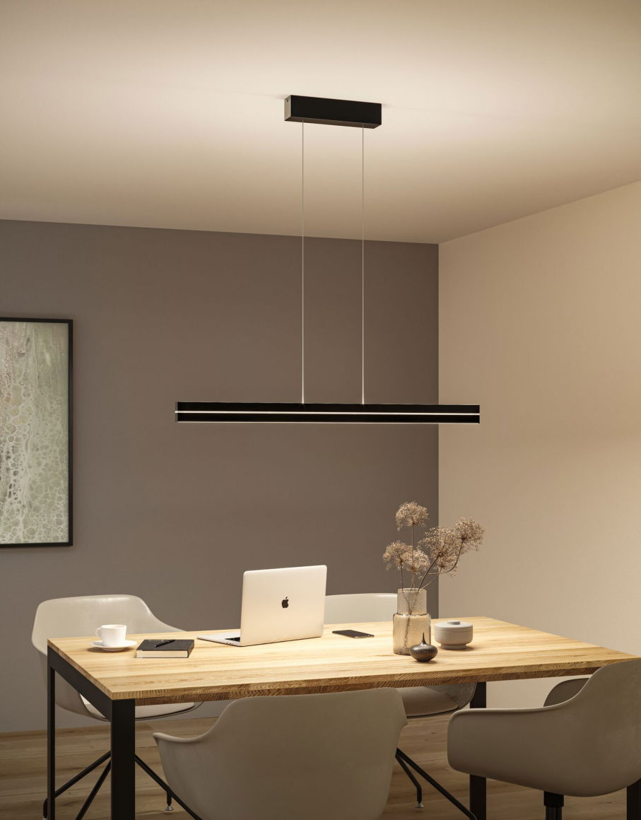 LED Pendelleuchte Raiko  RGBW+ 2300lm / 370lm 19W / 6W Schwarz - Paulmann - lightnox.de