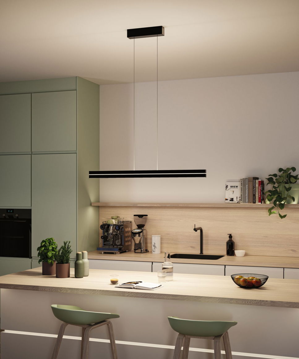 LED Pendelleuchte Raiko  RGBW+ 2300lm / 370lm 19W / 6W Schwarz - Paulmann - lightnox.de