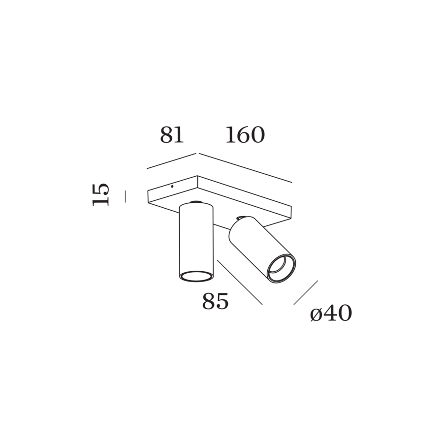 Pillo 2.0 - 2-flammige Deckenlampe schwenkbar