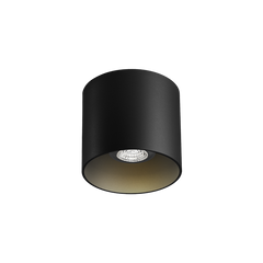 Wever & Ducré Ray Ceiling 1.0 PAR16 Deckenleuchte schwarz