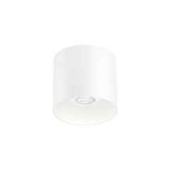 Wever & Ducré Ray Ceiling 1.0 PAR16 Deckenleuchte weiß