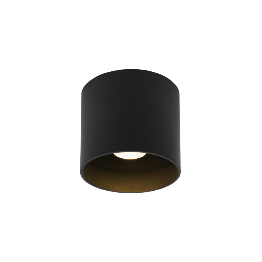 Ray 1.0 LED plafondlamp voor buiten
