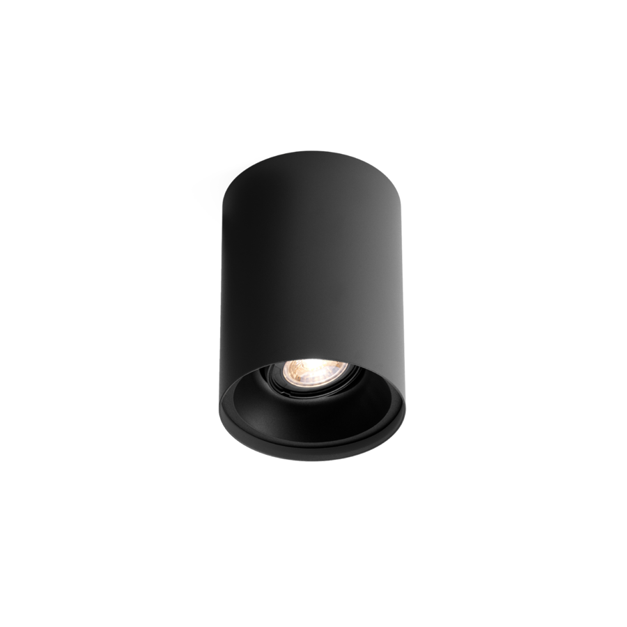 SOLID 1.0 PAR16 Ceiling Light