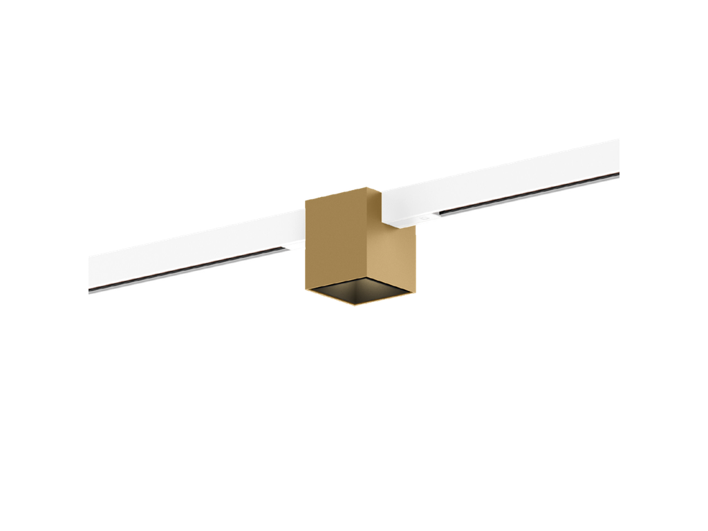 BOX on STREX 1.0 – Champagner gebürstet + Mattschwarz, Adapter weiß