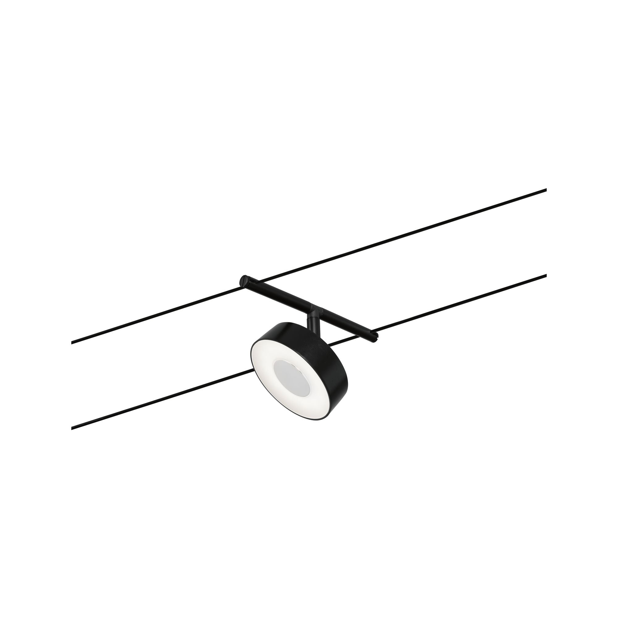 CorDuo Circle Einzelspot 180lm 5W 3000K 12V Schwarz matt - Paulmann - 94480