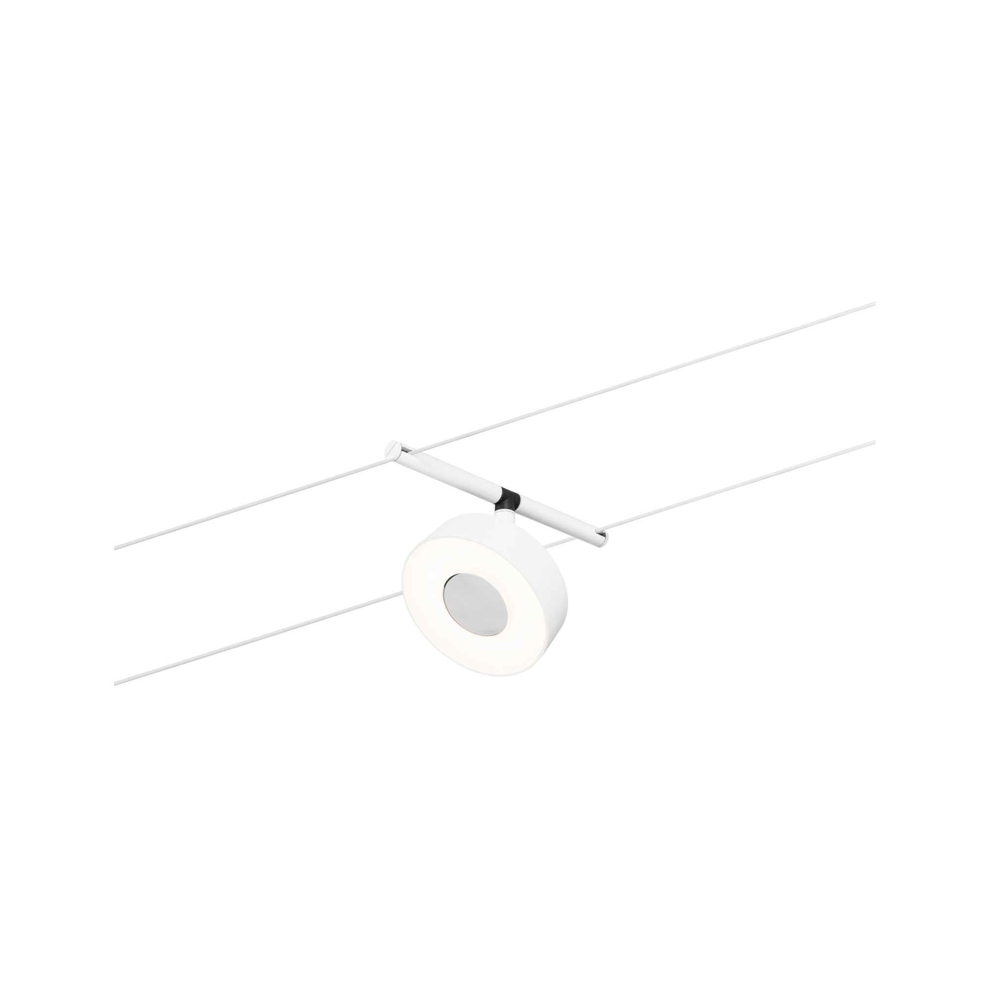 CorDuo Circle Einzelspot 180lm 5W 3000K 12V Weiß matt - Paulmann - 94478
