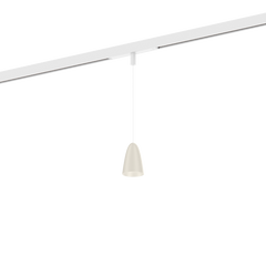 COZY CONE on STREX 1.0 – Live Simple